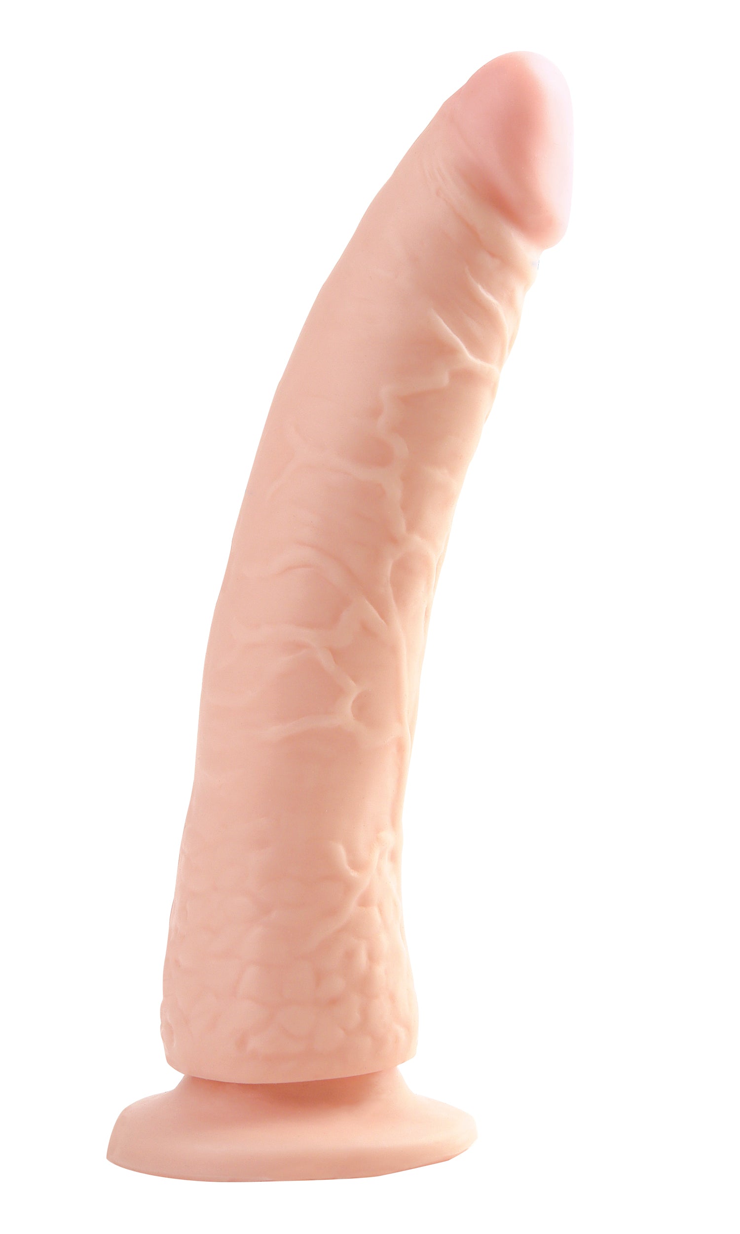 245306308.jpg