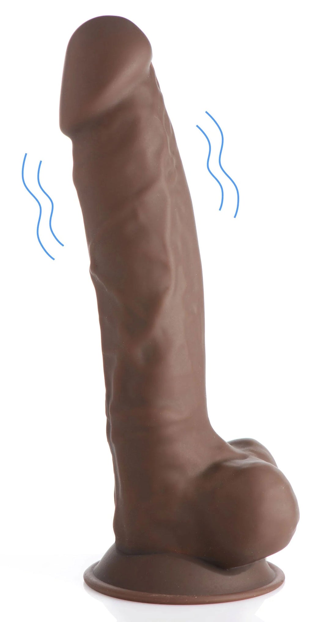 245309029.jpg