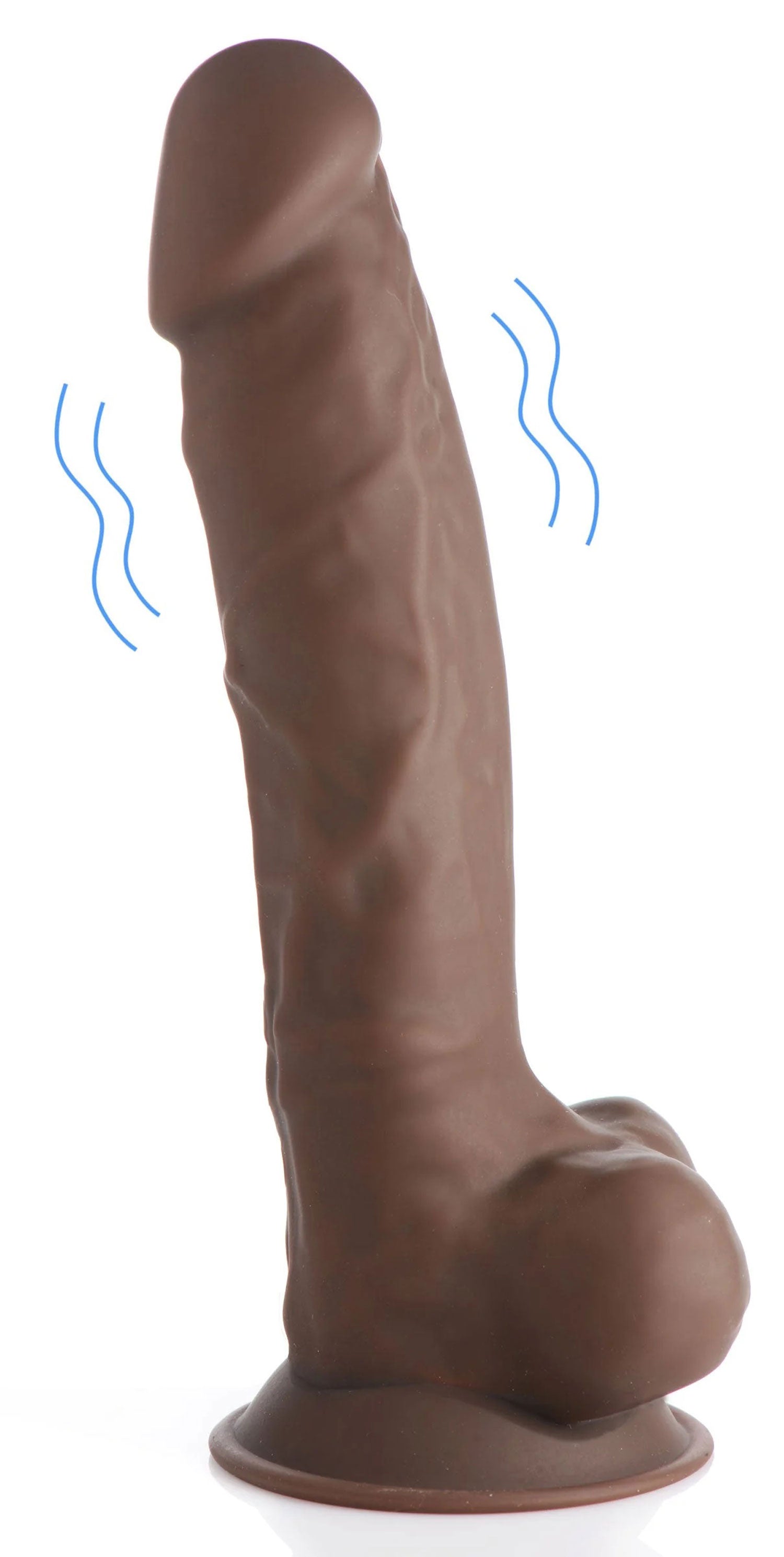 245309029.jpg