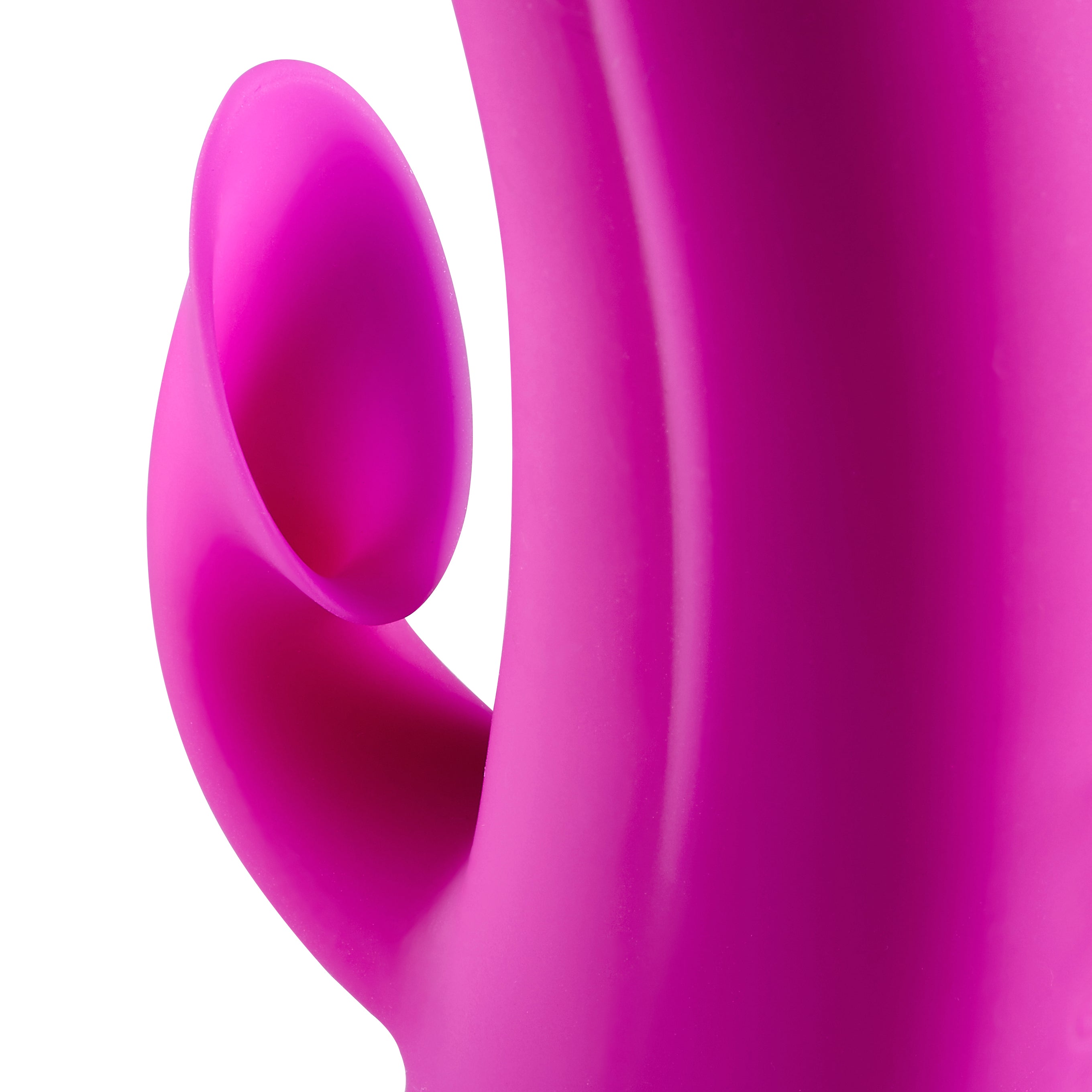 245310151.jpg