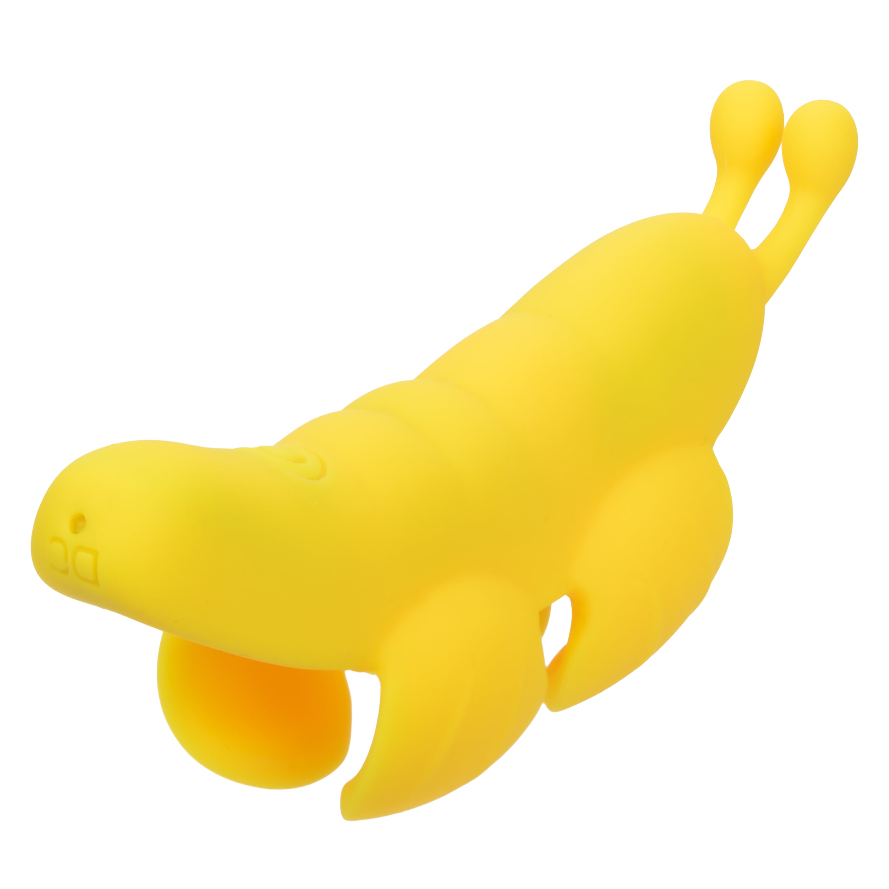 245314147.jpg
