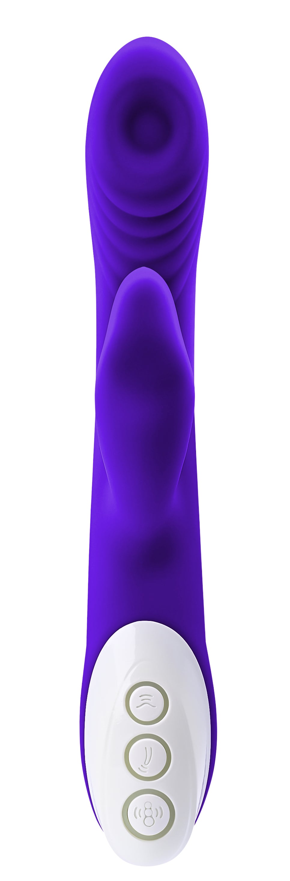 245316021.jpg