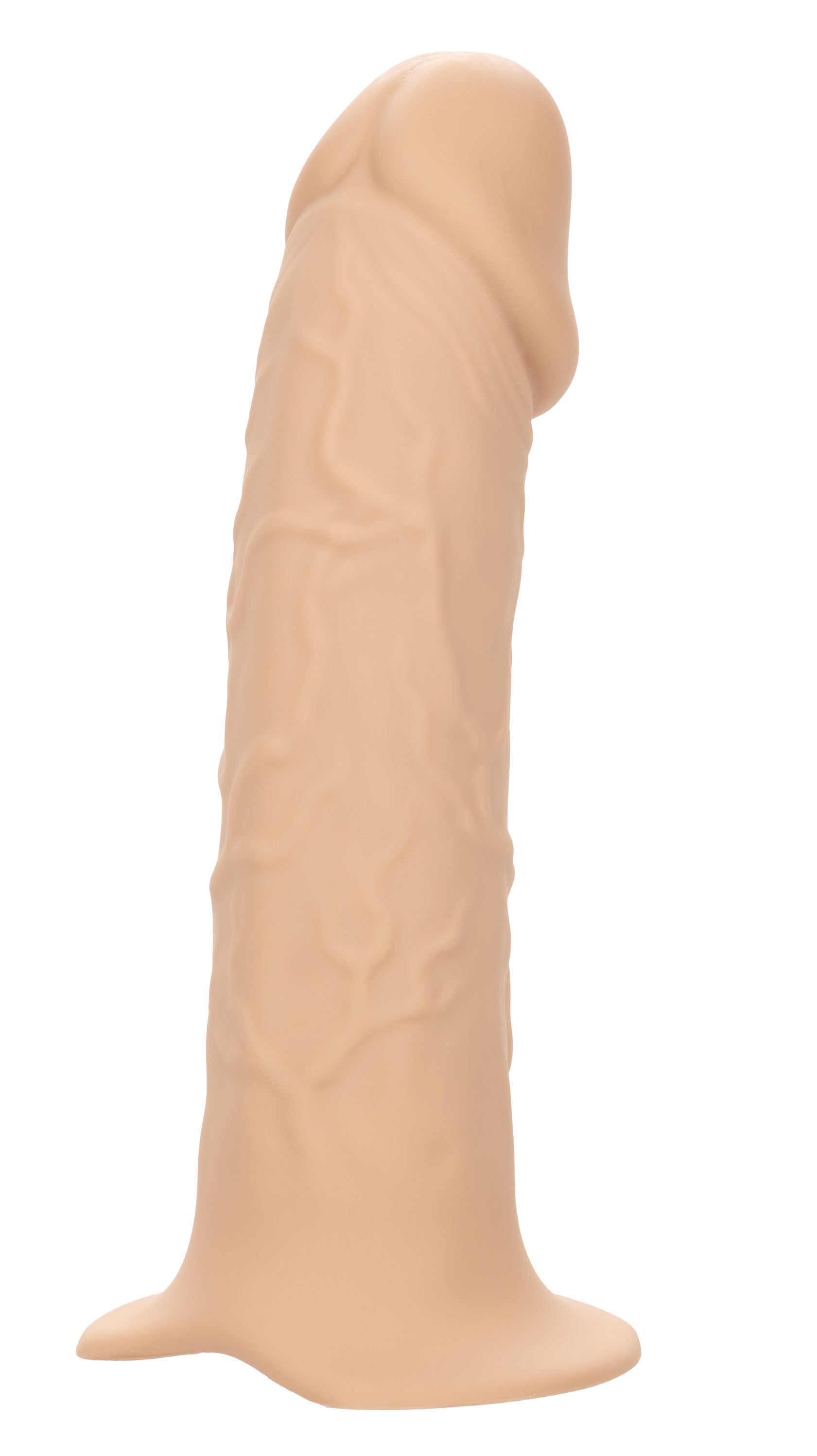 245316742.jpg