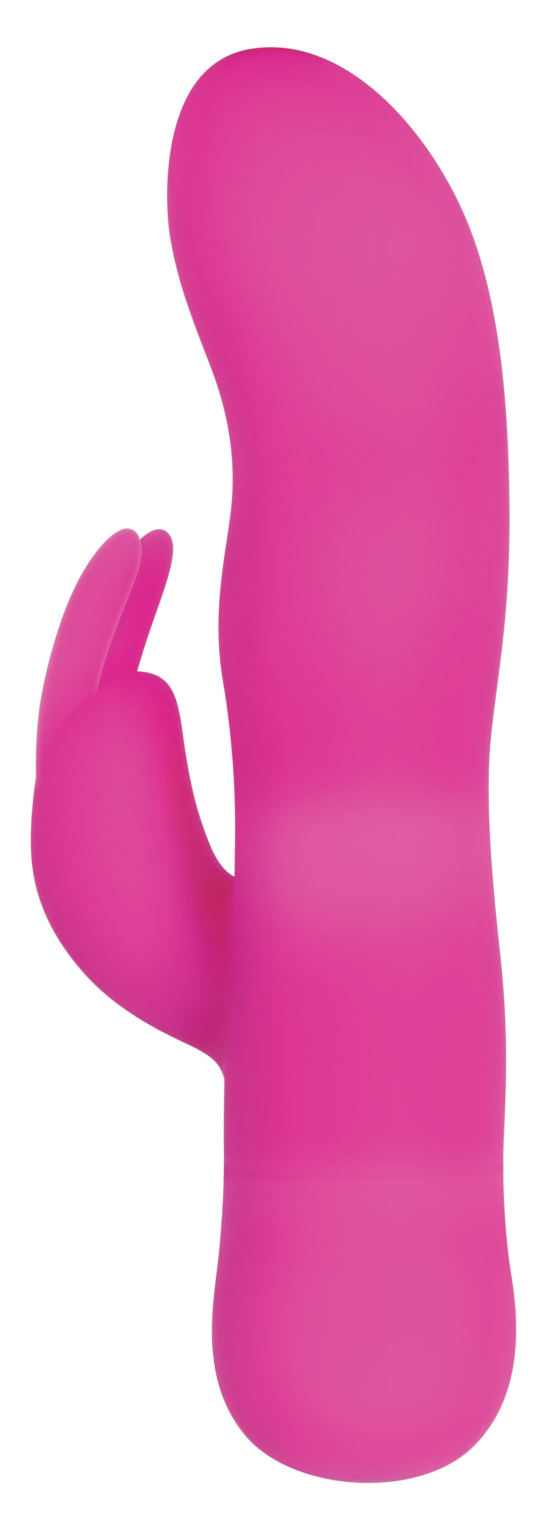 306412188.jpg