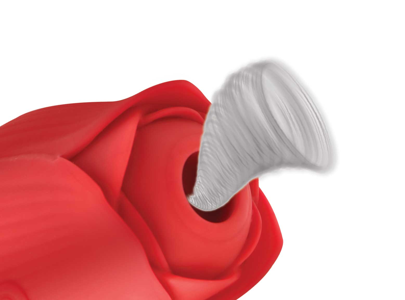 306749899.jpg