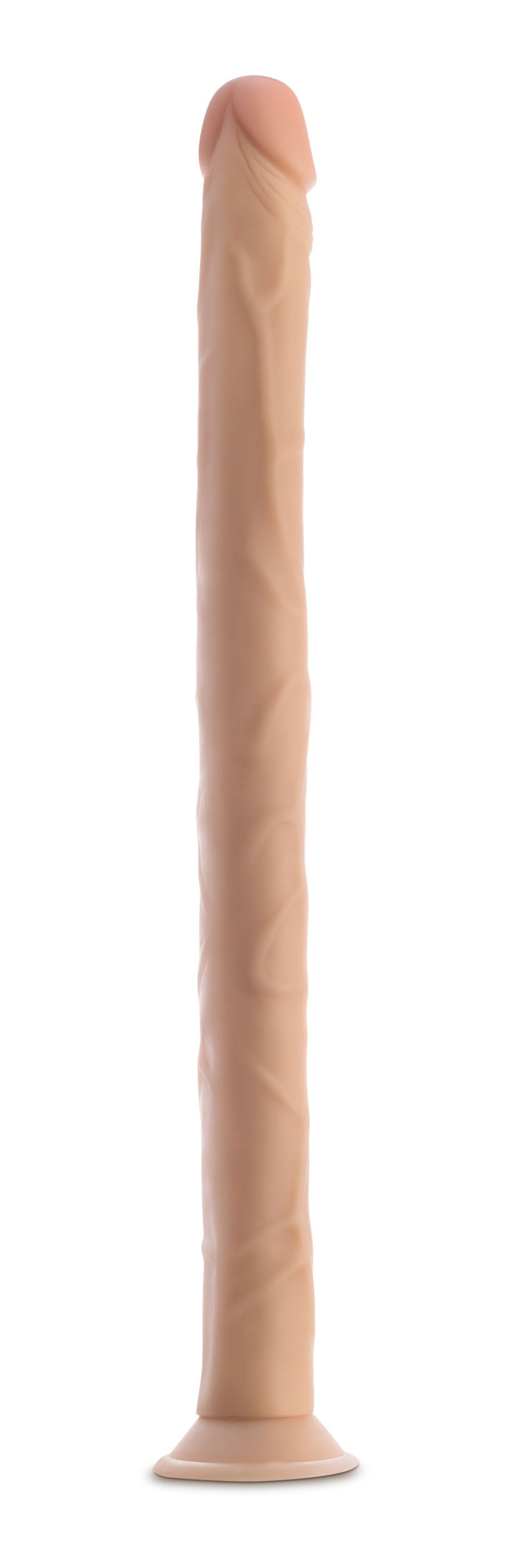 306753585.jpg