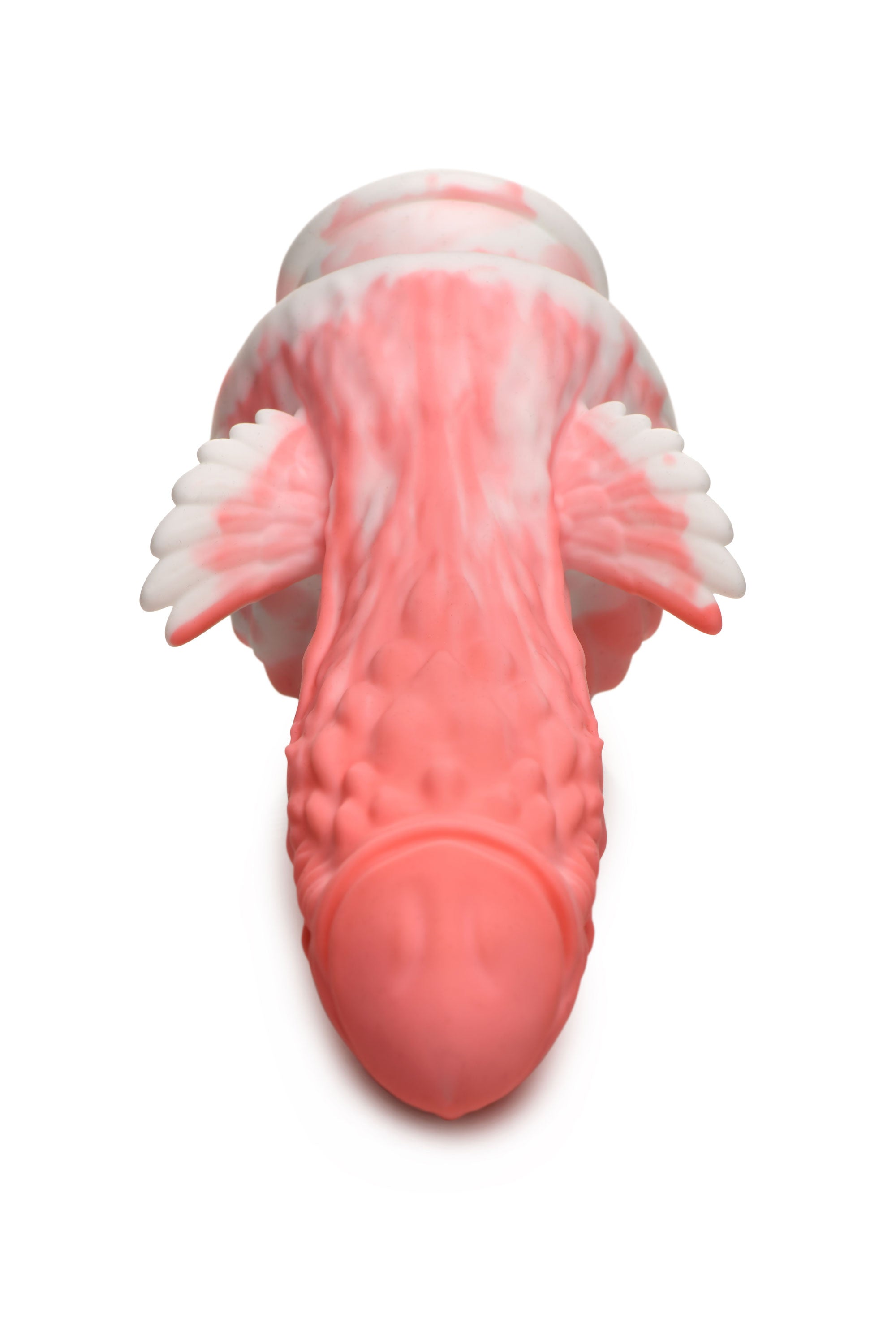 306768232.jpg