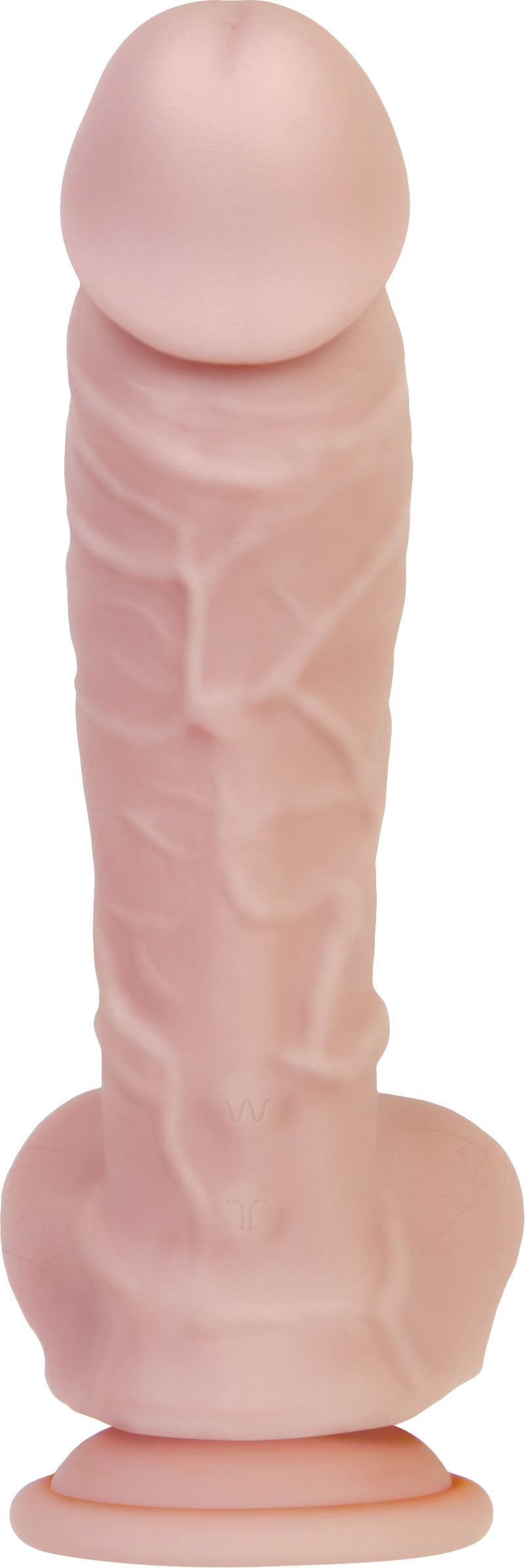 306771099.jpg