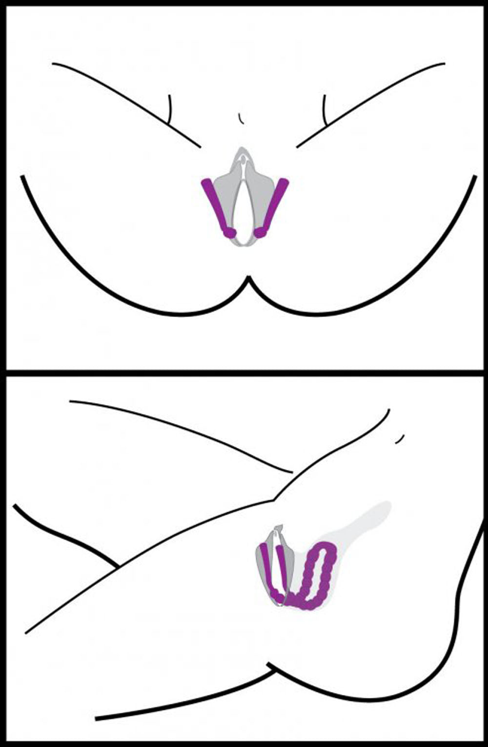 306778455.jpg